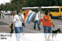 The Parade